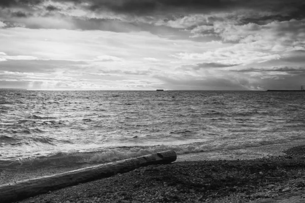 Een Eenzaam Logboek Ligt Het Strand Van Pirita Estland Een — Stockfoto