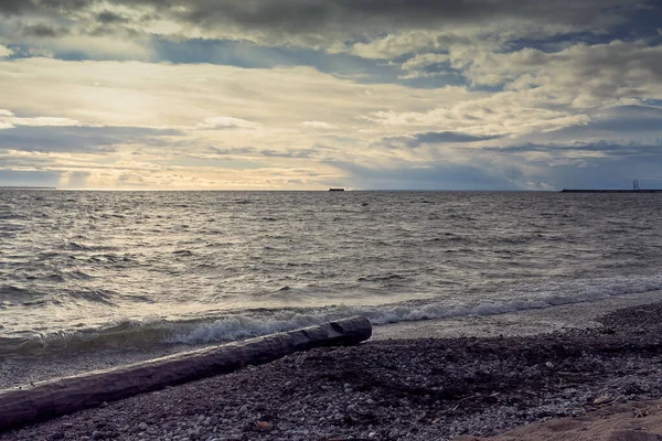 Ένα Μοναχικό Κούτσουρο Βρίσκεται Στην Παραλία Στην Πιρίτα Της Εσθονίας — Φωτογραφία Αρχείου