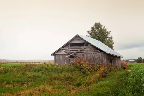 夏の雨はフィンランドの田舎の古い木造納屋の家に注ぐ — ストック写真