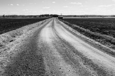 Çakıl yolu tarlalardan geçer ve Finlandiya 'nın kırsalındaki ahır evlerinden geçer..