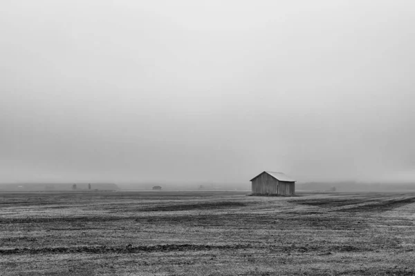 Brouillard Été Épais Recouvre Les Champs Les Granges Finlande Rurale Images De Stock Libres De Droits