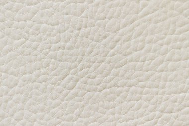soyut deri dokusu, beyaz renk