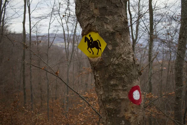a hiking sign on a tree in the forest