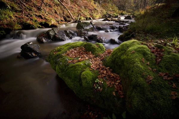 Morgen Bunt Herbst Berglandschaft Fluss — Stockfoto