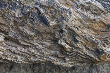 Donmuş bir gövdenin yapısını soyut motifle yakından çek.