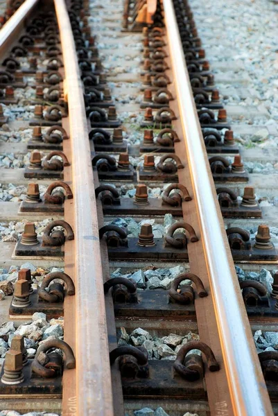 Railway Country — Stock Photo, Image
