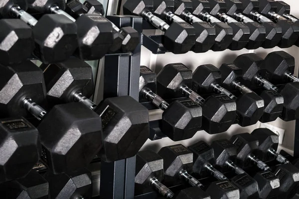 Bir dizi dumbbells bir spor kulübü