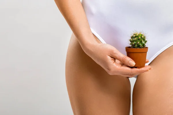 Depilacja Strefie Bikini Kaktus Kobietę Rękę — Zdjęcie stockowe