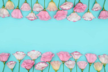 Eustoma çiçek renk arka plan üzerinde güzel çerçeve kompozisyonu