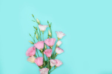 Renk arkaplanında çiçekler olan güzel kompozisyon