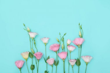 Renk arkaplanında çiçekler olan güzel kompozisyon