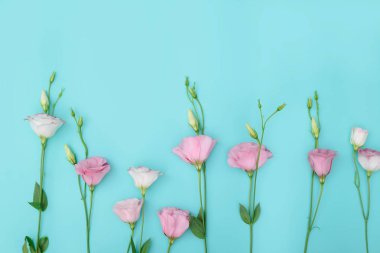 Renk arkaplanında çiçekler olan güzel kompozisyon