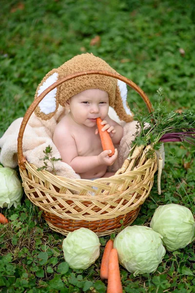 Ładny mały chłopiec dziecko w komplet królik siedział na trawie w koszyku z kapusty i marchwi. Tle natura park — Zdjęcie stockowe