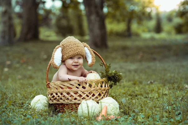 Cute little baby boy in suit of rabbit sitting on the grass in basket with cabbage and carrot. Nature park background — Stock Image Cute little baby boy in suit of rabbit sitting on the grass in basket with cabbage and carrot. Nature park background Stock Photo