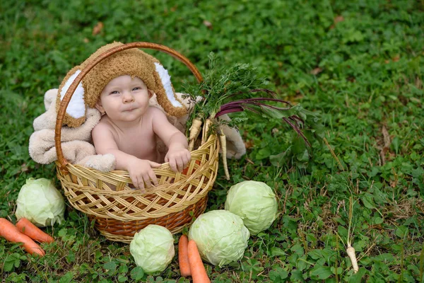 Carino il bambino in tuta di coniglio seduto sull'erba in cesto con cavolo e carota. Sfondo del parco naturale — Foto Stock
