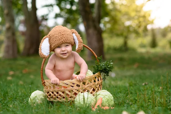 Ładny mały chłopiec dziecko w komplet królik siedział na trawie w koszyku z kapusty i marchwi. Tle natura park — Zdjęcie stockowe