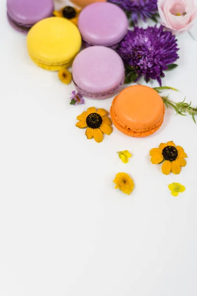 Красочные макароны, цветы и листья на белом фоне. Цветной французский десерт со свежими цветами. Осенняя концепция — стоковое фото