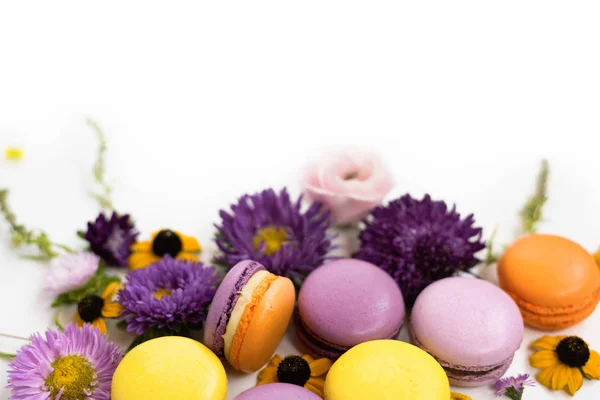 Макароны и цветы венок на белом фоне. Цветной французский десерт со свежими цветами . — стоковое фото
