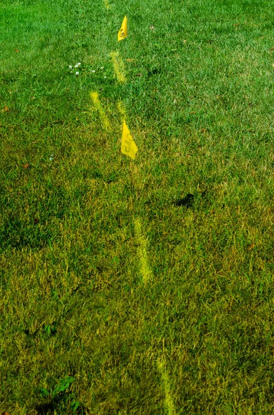 Underground gas utility yellow marking and flag — Stock Photo, Image