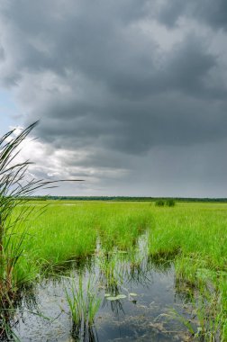 Bataklık üzerinde fırtına bulutları