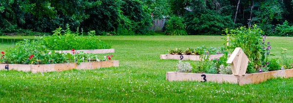 Primer plano de cuatro jardines de camas elevadas en un parque público —  Fotos de Stock