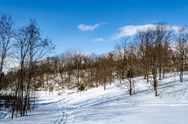 Kırsal bir parkta kış yürüyüşü patikaları 