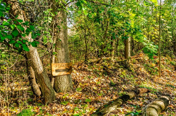 Sendero Del Bosque Atumn Con Por Favor Firme Flecha Día —  Fotos de Stock