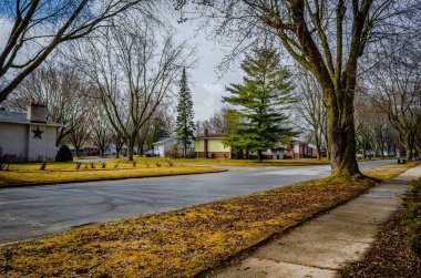 İlkbaharın başlarında ağaçlarla çevrili bir sokak ve kaldırım.