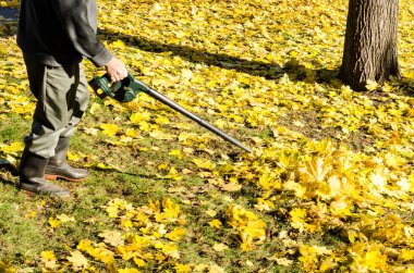 man using leaf blower on a sunny fall day