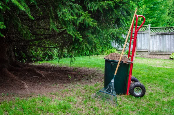 Pine Needles Filling Large Pail Red Dolly Lawn Rake Next — Stock Photo, Image