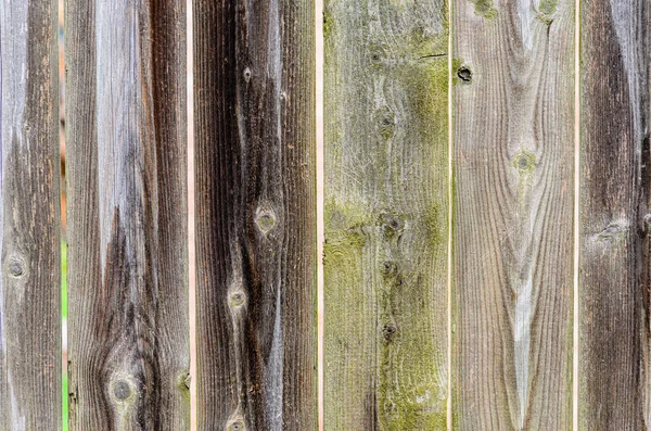 Close Section Rain Soaked Gray Wooden Fence Moss Patches — Stock Photo, Image