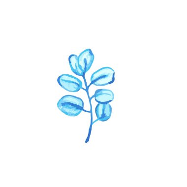 Mavi suluboya okaliptüs yaprağı