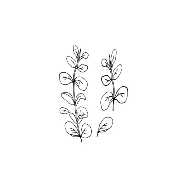 Florale Clip-Art — Stockvektor