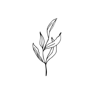 Çiçek desenli, siyah beyaz daireler. 