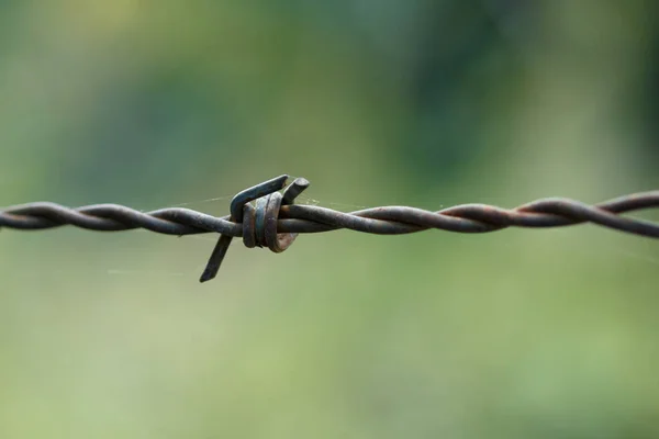 Rusted old barbed wire — Stock Photo, Image