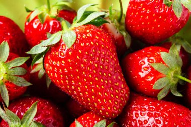 Çilek makro görünümü