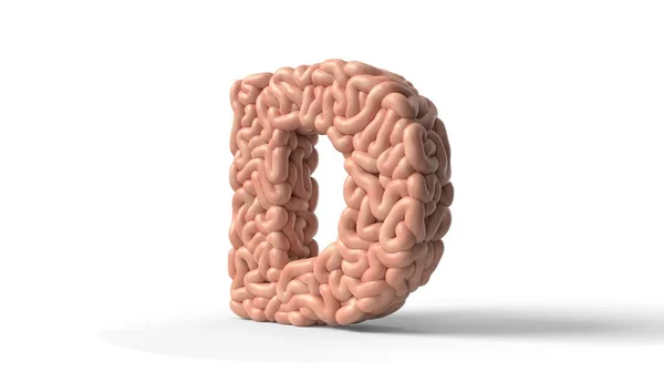 Cerebro humano en forma de letra D. Ilustración 3D — Foto de Stock