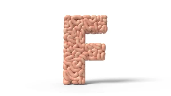 Menschliches Gehirn in Form des Buchstabens F. 3D-Illustration — Stockfoto