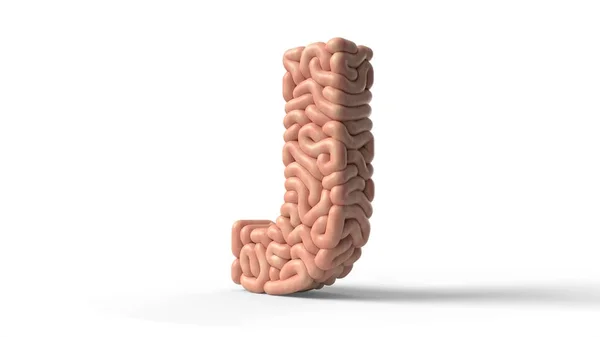 Cerebro humano en forma de letra J. Ilustración 3D — Foto de Stock