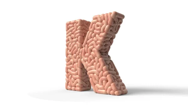 Human brain in shape of letter K. 3D illustration — Stock Photo, Image