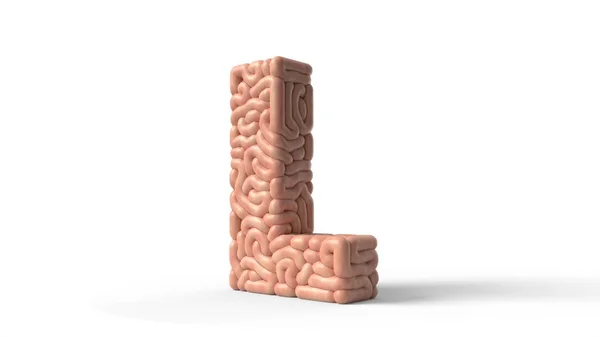 Ανθρώπινο εγκέφαλο σε σχήμα του γράμματος L. 3d εικονογράφηση — Φωτογραφία Αρχείου
