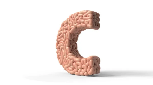 Human brain in shape of letter C. 3D illustration — 图库照片