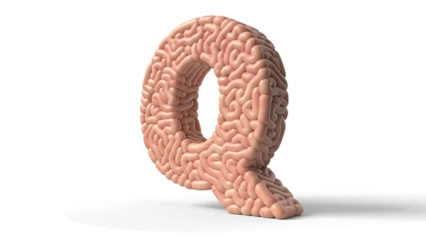 Cerebro humano en forma de letra Q. Ilustración 3D — Foto de Stock