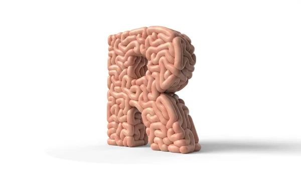 Cérebro humano em forma de letra R. ilustração 3D — Fotografia de Stock