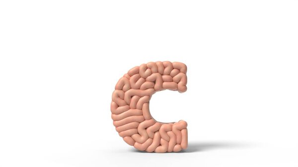 human brain in shape of letter c. 3D illustration