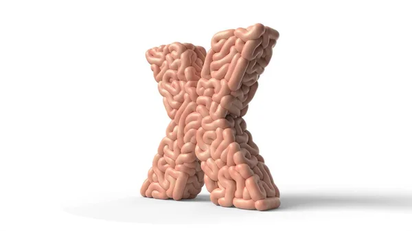 Cerebro humano en forma de letra X. Ilustración 3D — Foto de Stock