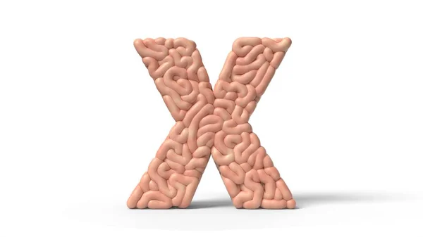 Human brain in shape of letter X. 3D illustration — 图库照片