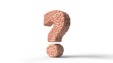 human brain in shape of question sign. 3D illustration
