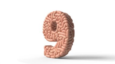 human brain in shape of number 9. 3D illustration