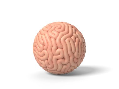 human brain in shape of small sphere. 3D illustration